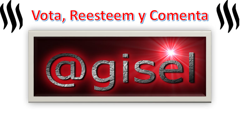 promocion@gisel.png