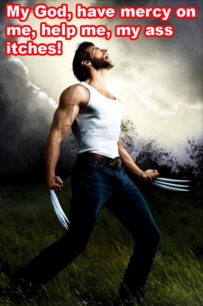 wolverine09 copia.jpg