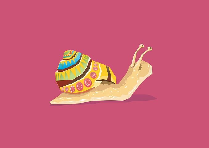 snail-2345418__480.jpg