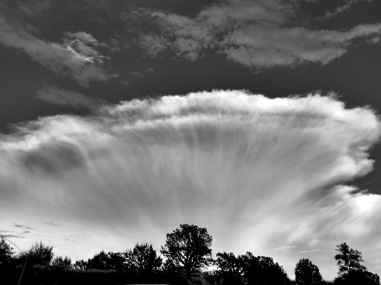 IMG_0362mushroom cloud 7x9 bw.jpg