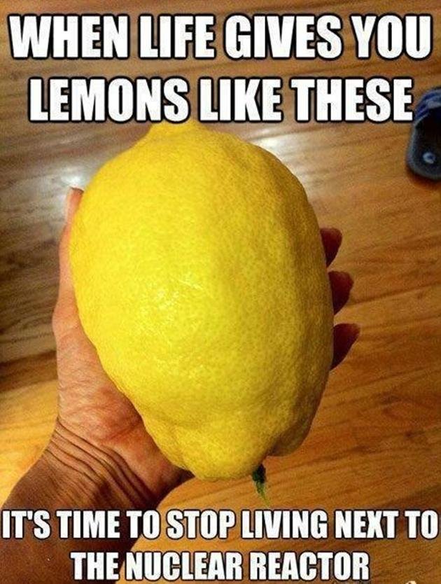 Vh-Funny-Life-Lemons-Meme.jpg