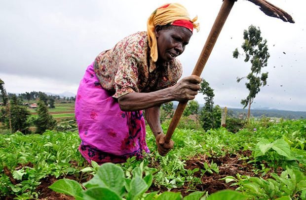 a-woman-on-her-farm-620x406.jpg