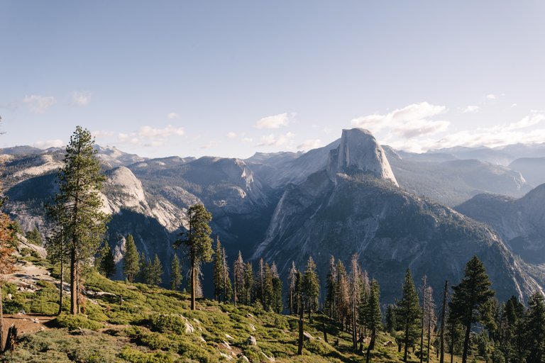 SteemitPostYosemite (20 of 36).jpg