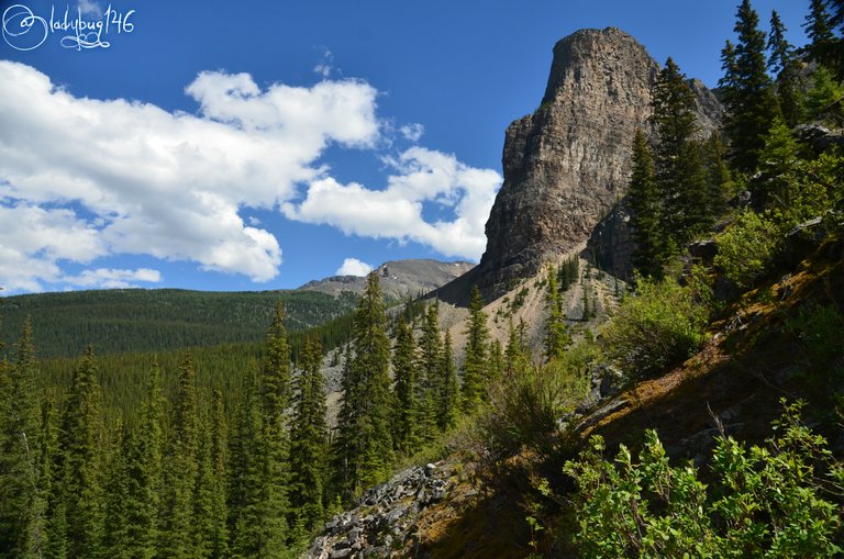 moraine lake8.jpg