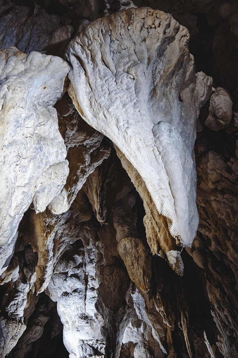 crimsonclad aranui cave formations in new zealand