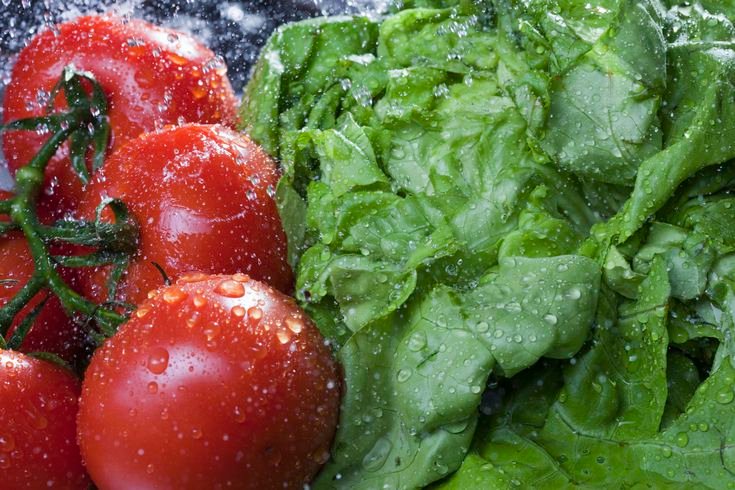 close-up-of-lettuce-and-vine-tomatoes-being-washed-561095843-572bb3ed3df78c038e2cf769.jpg