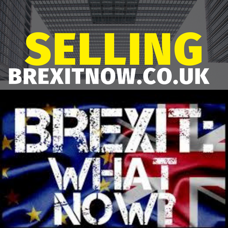 selling brexitnow.co.uk.png