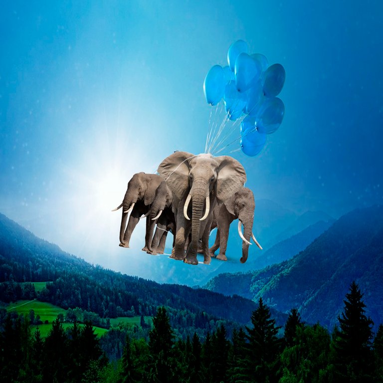 elefante .jpg