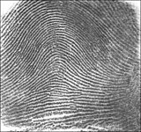 160px-Fingerprint_Arch.jpg