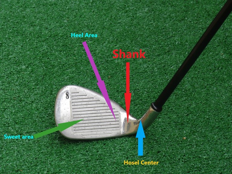 Golf Shank Point.jpg