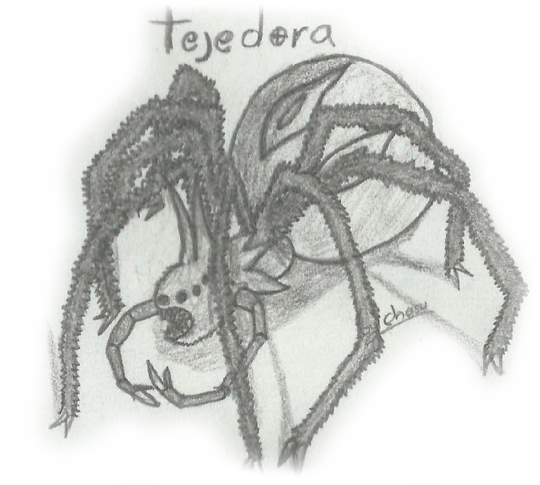 Tejedora.png