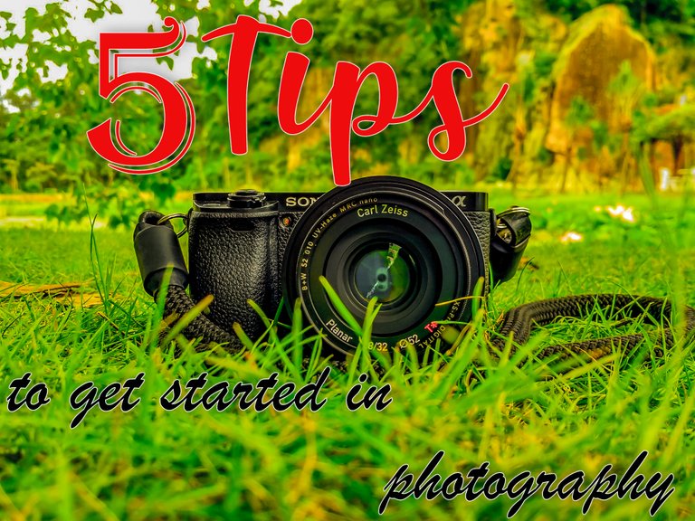 black-sony-dslr-camera-on-green-grass-in-front-of-brown-and-225157.jpg