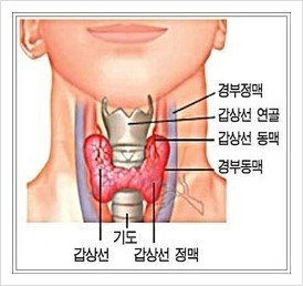 naver_com_20140630_232336.jpg