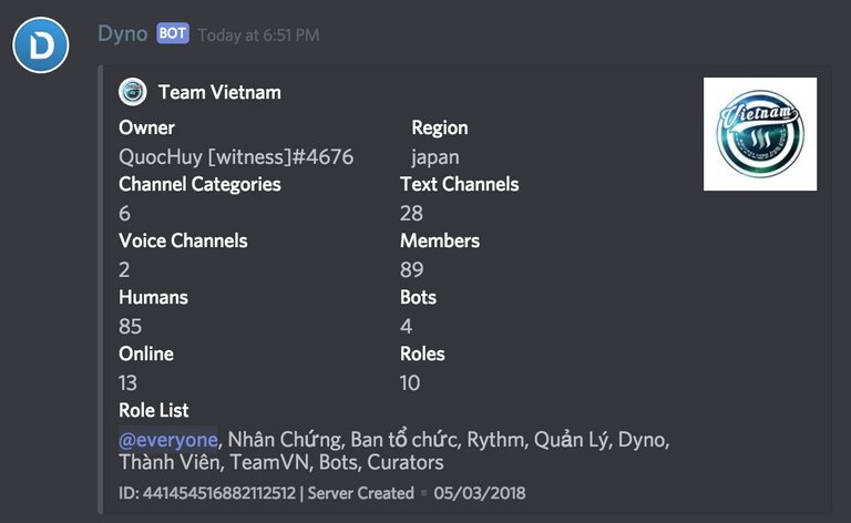 Team Vietnam Discord server