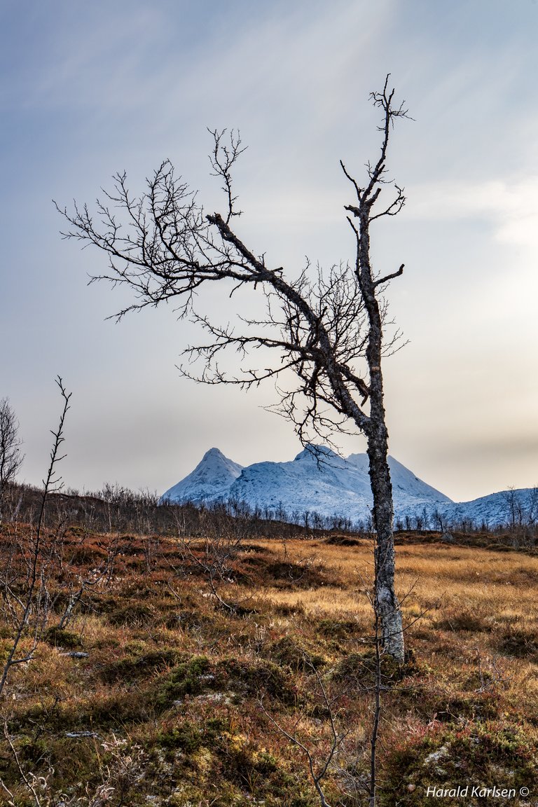 Rødtinden-8.jpg