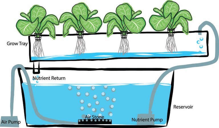 Aquaponics-system.jpg