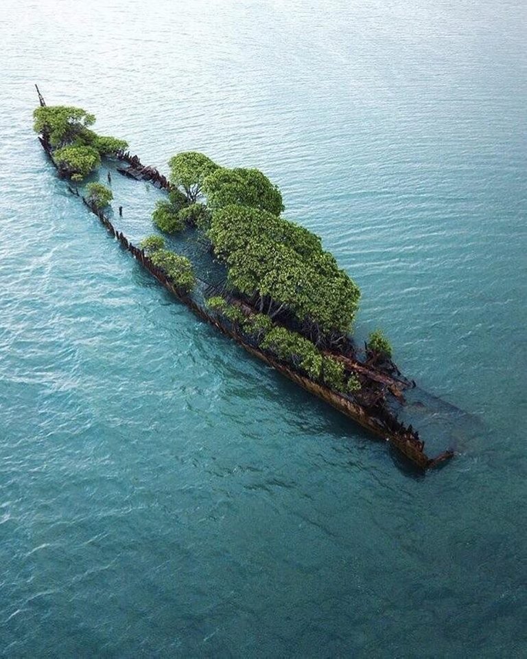 Nature taking over abandoned ship.jpg