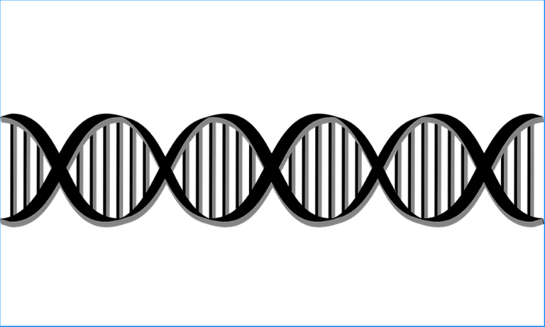 DNA BS.png