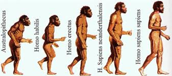 (evolucion del hombre.png