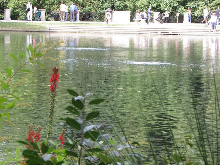 longwood garden laguna flores rojas.jpg