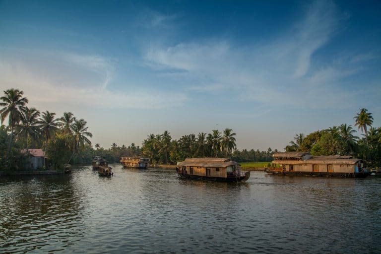 backwaters-kerala-1-768x512.jpg