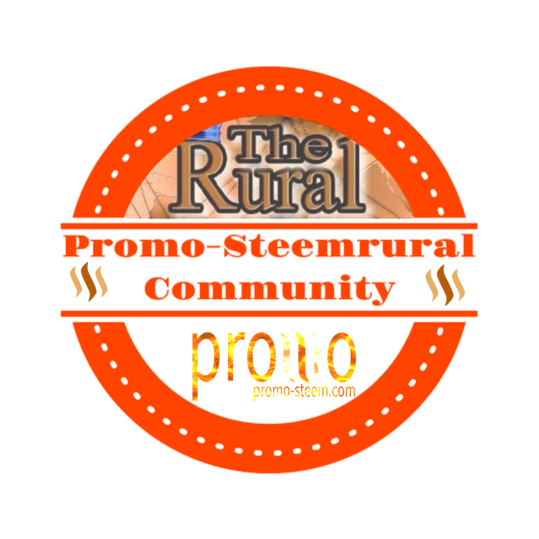 Promo-Steemrural logo.png