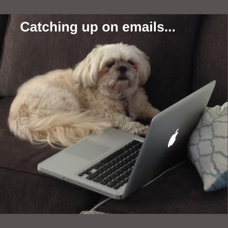 Catching up on emails....png