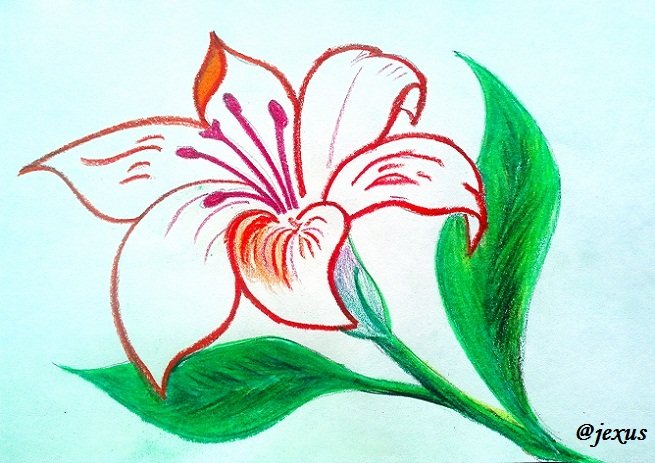 10-Flor.jpg