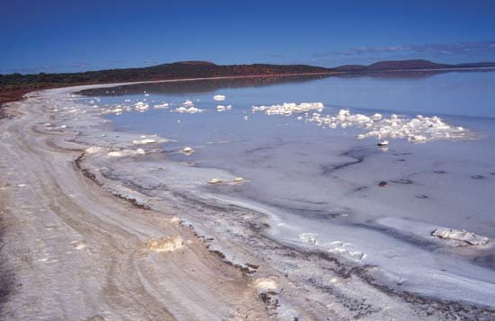 Lake Torrens 3.jpg