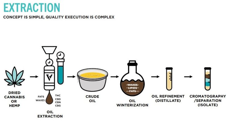 valens  2 Extraction.jpg