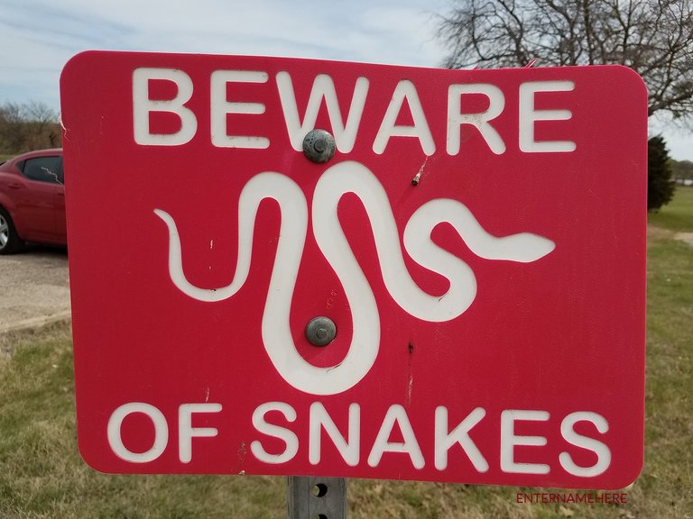 steemit-enternamehere-discgolf-northlakes-beware-snakes.jpg