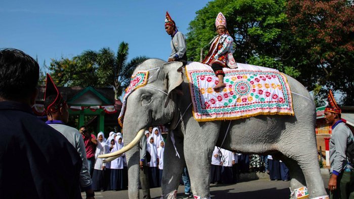 pawai-budaya-gajah_20180807_085357.jpg