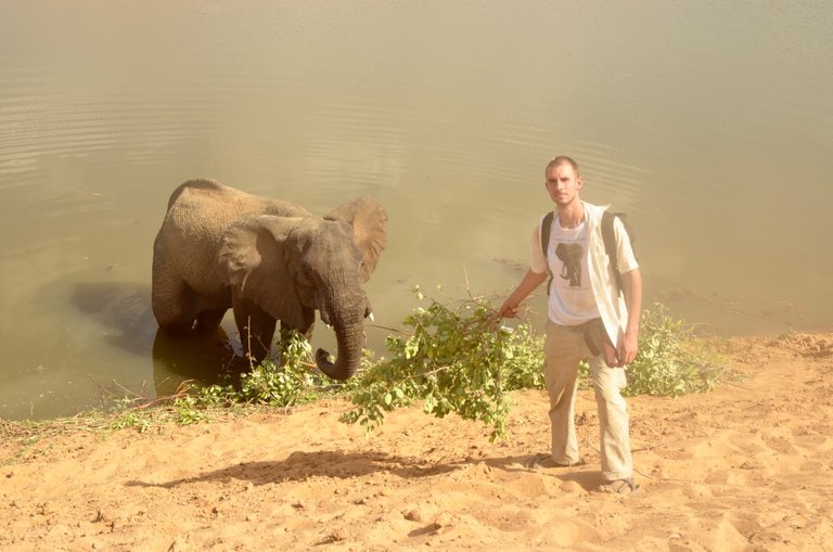 2.17 Poaching, feeding the injured female, Arthur,Chad,2017.jpg