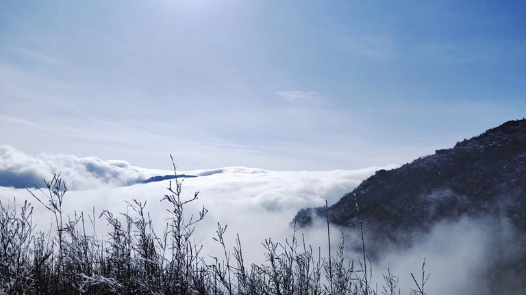 frozen moutains