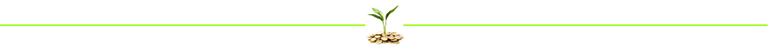 grow-money-divider-lime.png