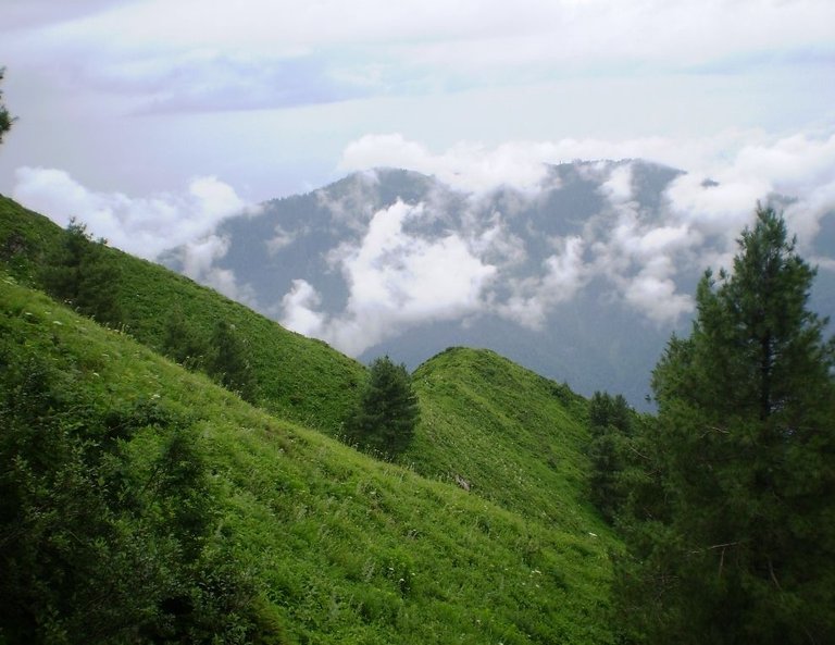 MiranJani-What-a-scene-Galyat-Abbotabad.jpg