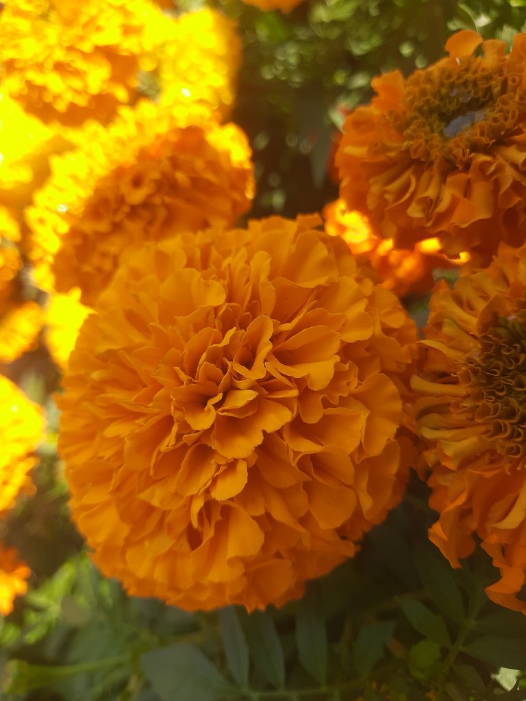20241227_130050.jpg