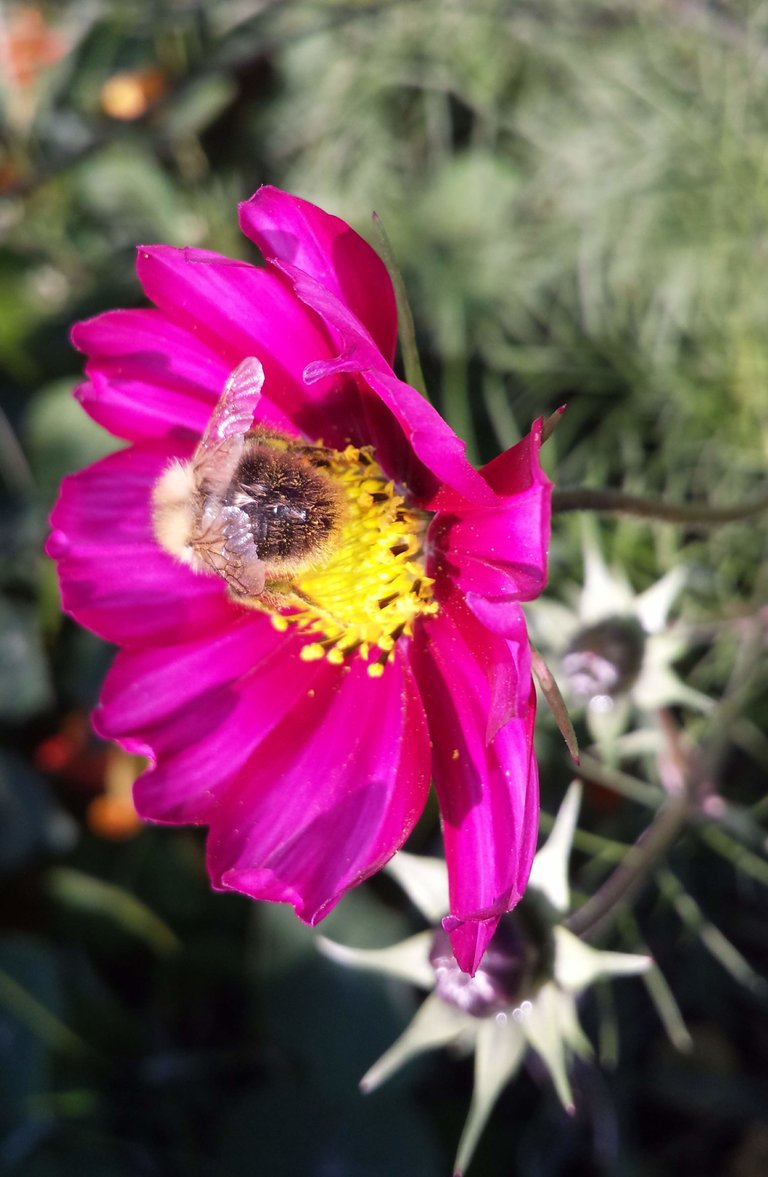 20191002_155614.jpg