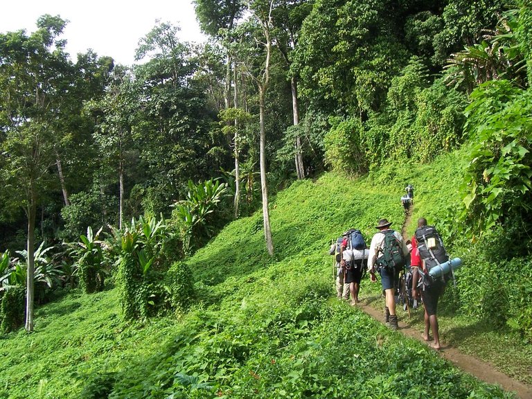 Kokoda_track_Papua_New_Guinea.jpg