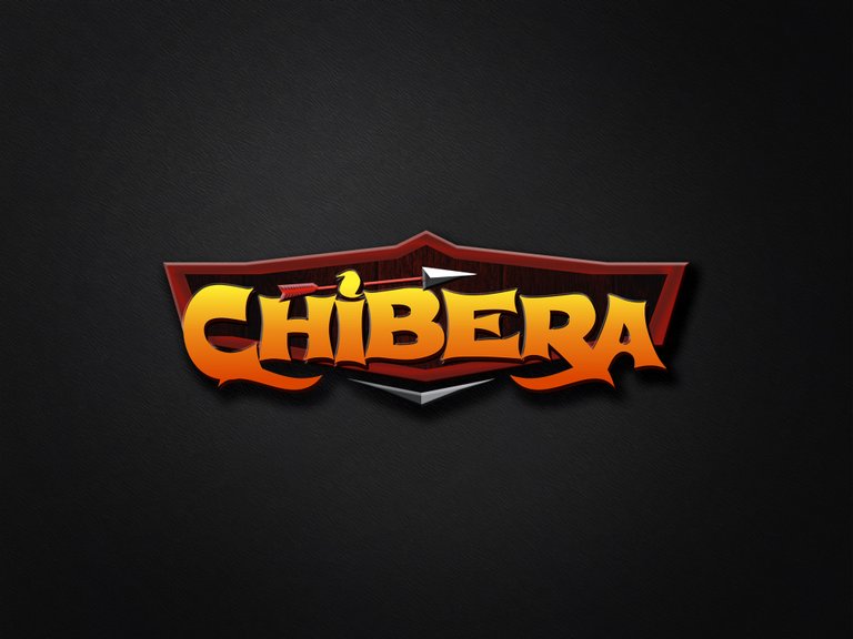 CHIBERA LOGO DISPLAY.jpg