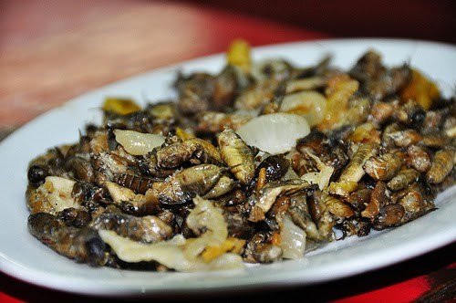 Adobong-Kamaru.jpg