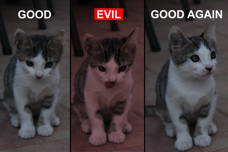 good_bad_cat copy5.jpg