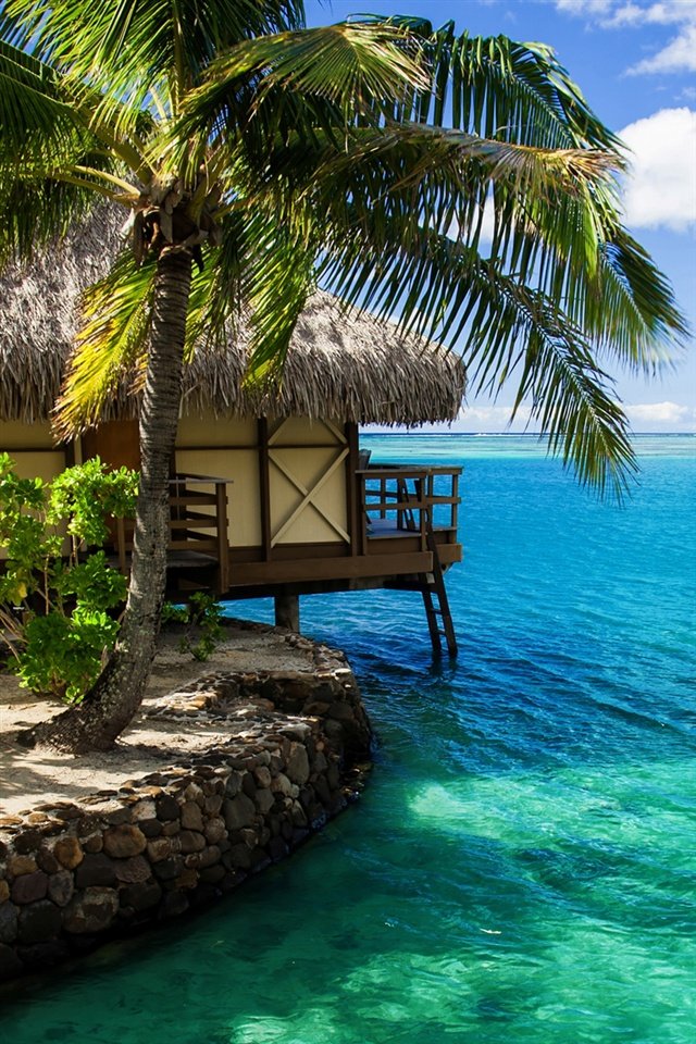 Maldives-hut-palm-tree-sea-water_640x960_iPhone_4_wallpaper.jpg
