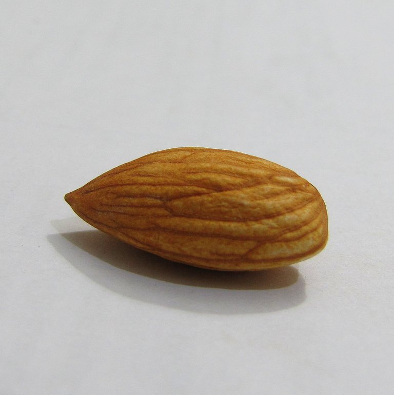 Almond_shelled-01.JPG