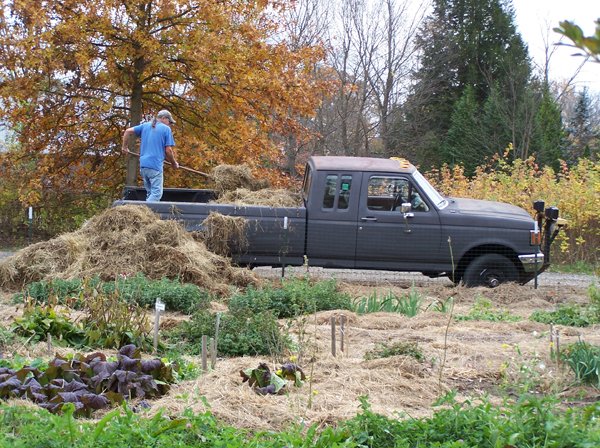 Load of mulch crop October 2019.jpg