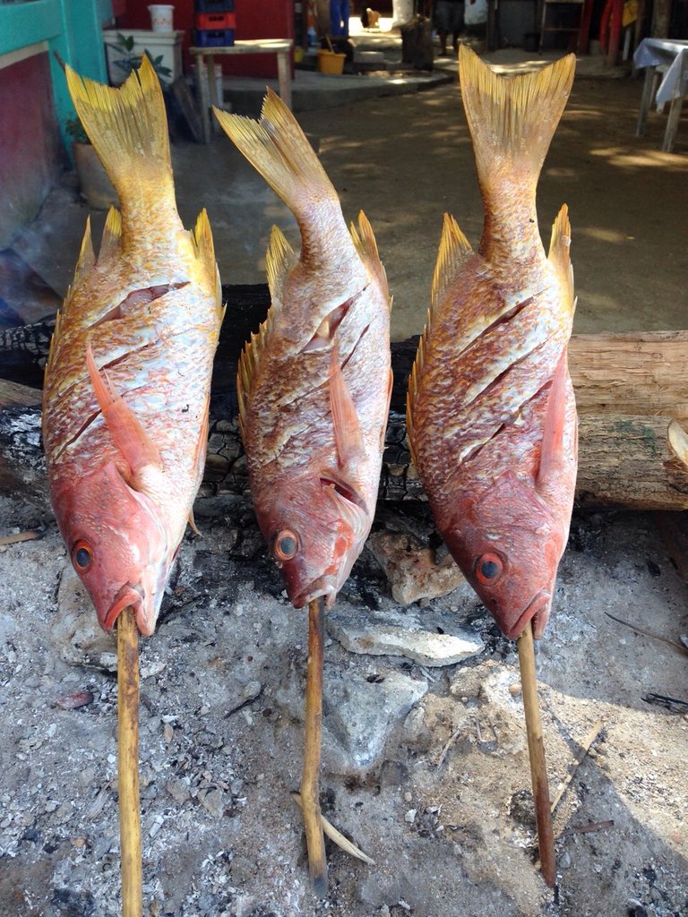 Pescado-en-vara-Puerto-vallarta-001.jpg