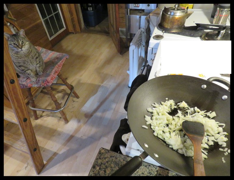 onions cooking in wok JJ looking on from chair.JPG