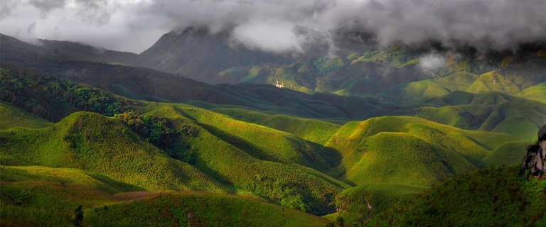 dzukou-valley.jpg