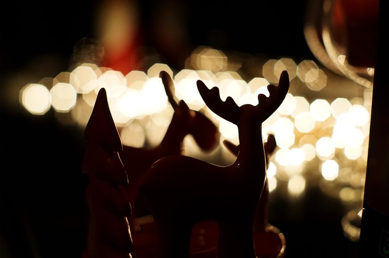 Christmas lights moose 1.jpg