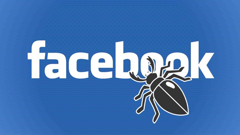 facebook-bug-1.jpg